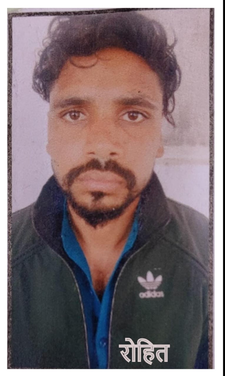 Card image top